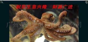 供應(yīng)供森迪觸摸廣告機(jī) 重塑樓宇賣場電梯場景的全新媒體終端